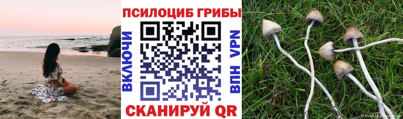 mega ссылка  Ужур  Псилоцибиновые грибы прущие грибы  купить наркотики цена 